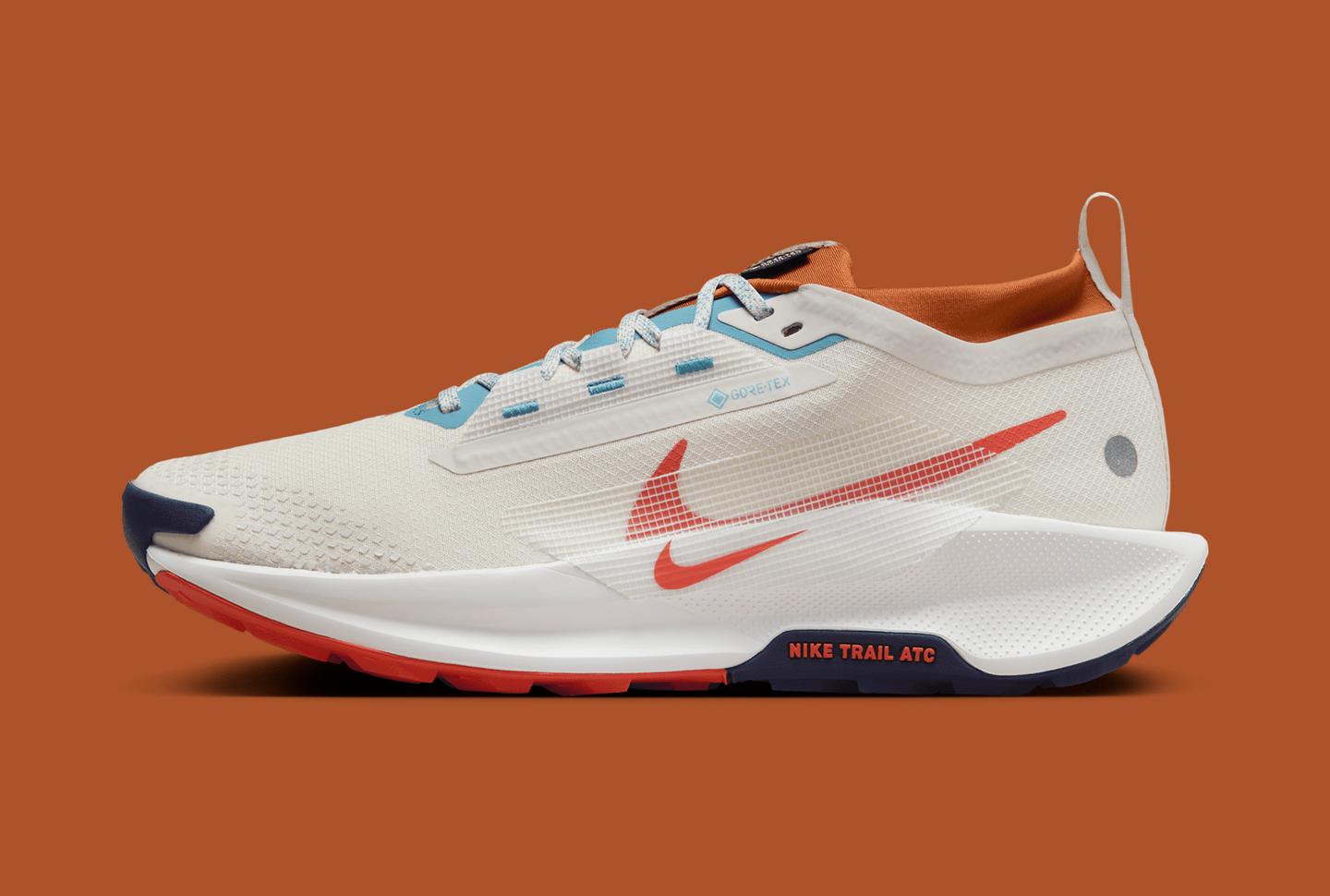 Nike Pegasus Trail 5 GORE-TEX